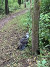 IMG_4586.jpg
