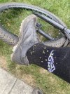 IMG_9116.jpeg