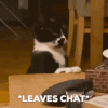 rainkitty-leaves.gif