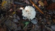 Dsc02214.jpg