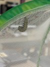 IMG_2263.jpeg