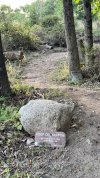 IMG_9198.jpeg
