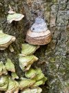 IMG_2284.jpeg
