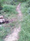 IMG_20240918_150859.jpg