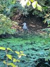 IMG_0780.jpeg
