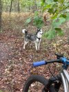 IMG_1867.jpeg