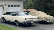 IMG_0419.jpeg