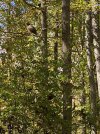 IMG_5355.jpg