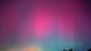 IMG_0701.jpeg