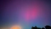 IMG_0708.jpeg