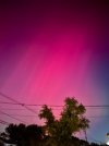 IMG_3374.jpeg