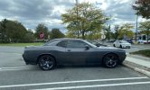 IMG_1411.jpeg