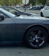 IMG_1411.jpeg