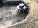 IMG_4615.jpeg