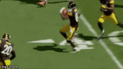 IMG_1211.gif