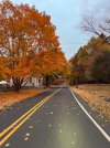IMG_9226.jpeg