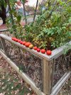 IMG_9230.jpeg