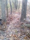 IMG_20241105_150925.jpg