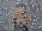 Dsc02410.jpg
