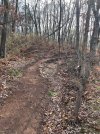IMG_1385.jpeg