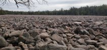rock garden.jpg