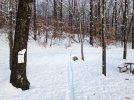 PXL_20241123_121742028.jpg