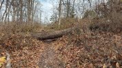 IMG_1111.jpeg