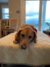 IMG_1165.jpeg