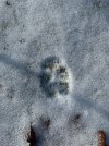 IMG_2902.jpeg