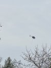 IMG_6170.jpg