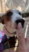 IMG_2043.jpeg