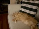 IMG_3717.jpeg