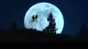 IMG_7472.jpeg