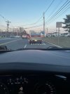 IMG_8007.jpeg