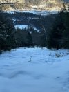 IMG_5287.jpeg