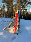 IMG_5281.jpeg