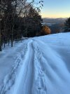 IMG_5274.jpeg