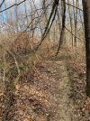 IMG_5715.jpeg