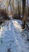 PXL_20241227_192649108.jpg