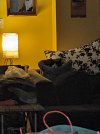 PXL_20241227_104757569.jpg