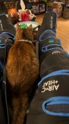 IMG_2440.jpeg