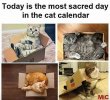 IMG_4537.jpeg