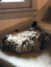 IMG_1501.jpeg