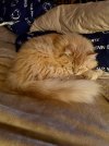 IMG_3826.jpeg