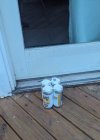IMG_0370.jpeg
