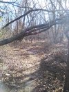 IMG_20241230_130934.jpg