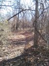 IMG_20241230_132047_1.jpg
