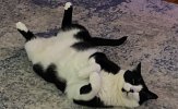 IMG_4701.jpeg