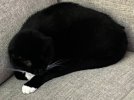 IMG_4702.jpeg