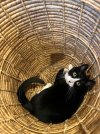 IMG_3839.jpeg